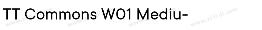 TT Commons W01 Mediu字体转换